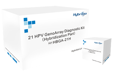 21 HPV GenoArray Diagnostic Kit, HybriMax, Hybribio