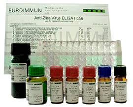 EUROIMMUN AG, autoimmune, molecular biology, Euroimmun Kit