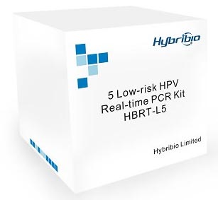 5 Low-risk HPV Real-time PCR Kit, Hybribio, HybriMax